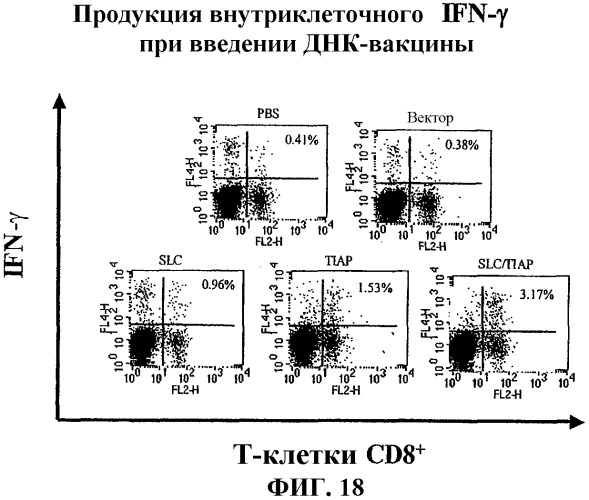 Днк-вакцины против опухолевого роста и способы их применения (патент 2343195)