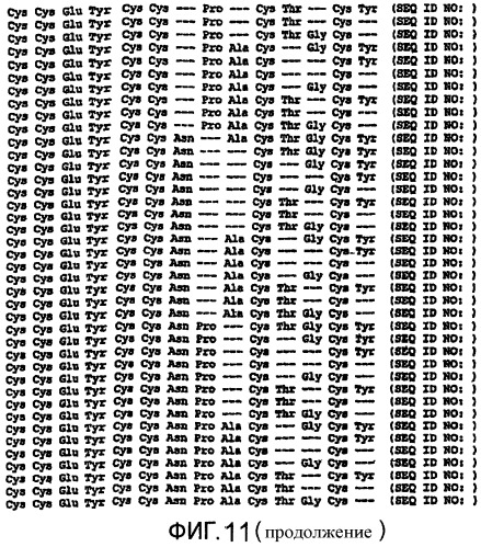 Полипептид для увеличения активности рецептора гуанилатциклазы, фармацевтическая композиция, способ лечения желудочно-кишечного расстройства у пациента, способ повышения активности рецептора гуанилатциклазы у пациента, способ лечения висцеральной боли, способ получения полипептида (варианты), изолированная молекула нуклеиновой кислоты, бактериальный вектор экспрессии и изолированная бактериальная клетка (патент 2433133)