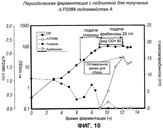 Процесс периодической ферментации с подпиткой при высокой плотности клеток для получения рекомбинантного белка (патент 2451070)