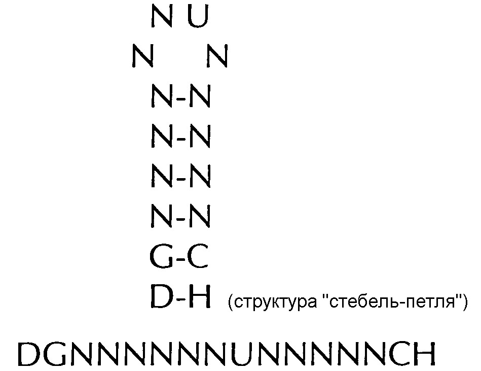 Нуклеиновая кислота, содержащая или кодирующая структуру "стебель-петля" гистонов и последовательность поли(а) или сигнал полиаденилирования, для повышения экспрессии кодируемого терапевтического белка (патент 2634391)