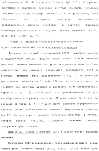 Мутанты анти-cd40 антитела (патент 2377254)