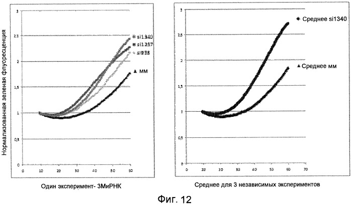 Применение hsp70 в качестве регулятора ферментативной активности (патент 2521672)