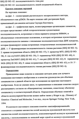 Вариант кукурузы mir604 (патент 2351122)