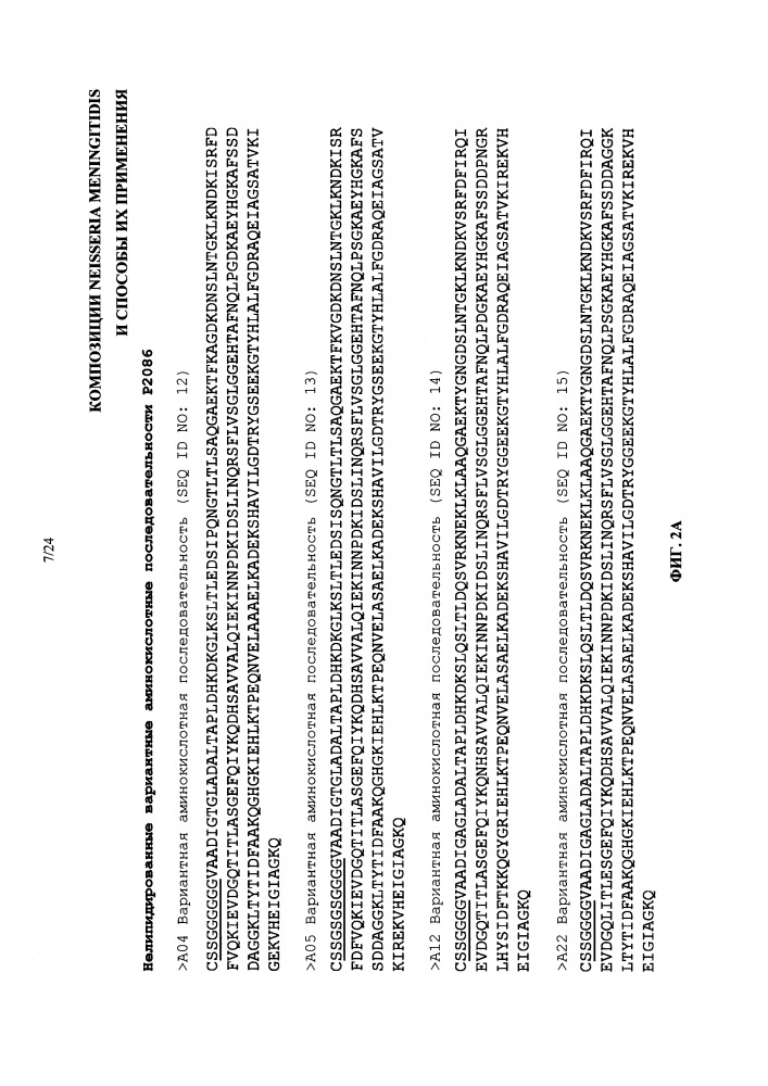 Композиции neisseria meningitidis и способы их применения (патент 2665841)