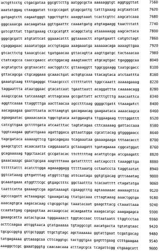 Бактериофаг, обладающий активностью против pseudomonas aeruginosa, белки бактериофага и способы их применения (патент 2580248)
