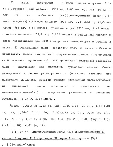 Производное 3-фенилпиразоло[5,1-b]тиазола (патент 2482120)