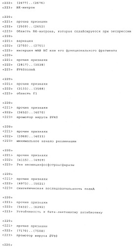 Вектор экспрессии млекопитающих (патент 2494147)