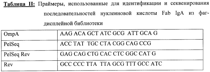 Антитело или его фрагмент, имеющие нейтрализующую активность в отношении вич, но не в отношении il2 (патент 2393873)