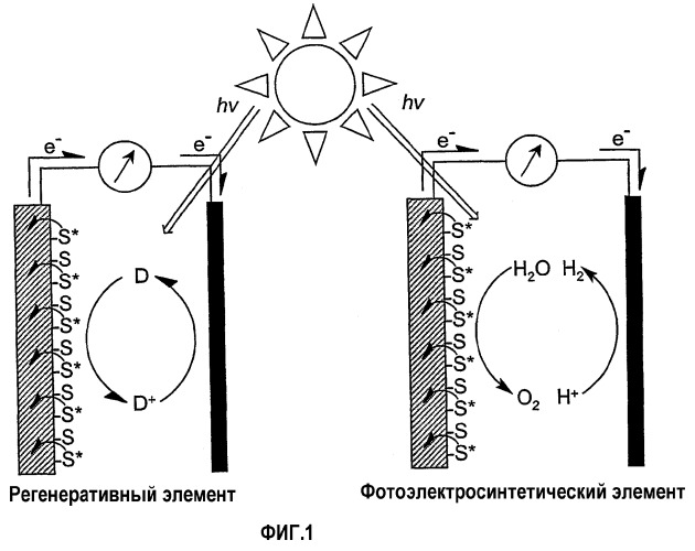 Солнечные элементы, включающие в себя цепочки для аккумуляции света (патент 2264677)