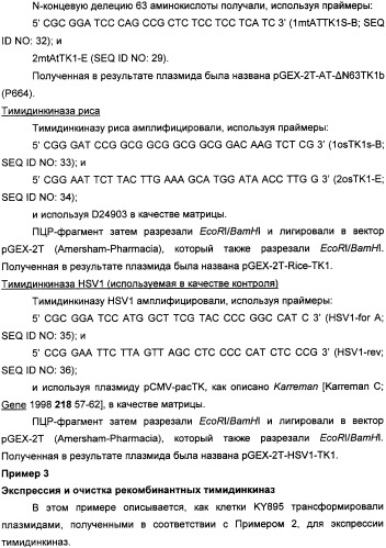 Растительные тимидинкиназы и их применение (патент 2339695)