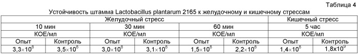 Консорциум пробиотических штаммов lactobacillus rhamnosus и lactobacillus plantarum для изготовления бактериального препарата и закваски прямого внесения для производства ферментированного молока и ферментированного свекольного сока (патент 2506308)