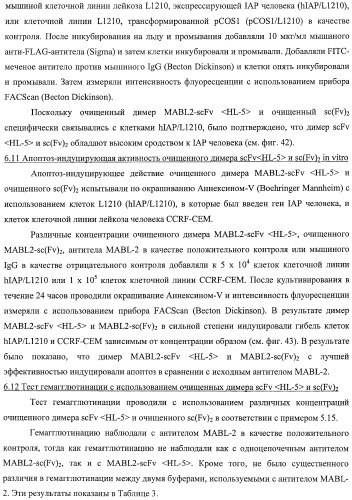 Агонистическое соединение, способное специфически узнавать и поперечно сшивать молекулу клеточной поверхности или внутриклеточную молекулу (патент 2430927)