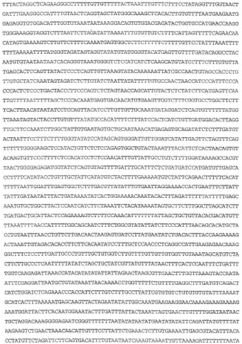 Применение s1p (патент 2362565)