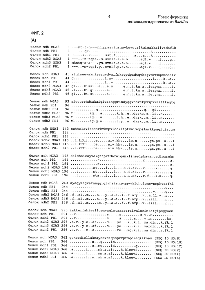 Новые ферменты метанолдегидрогеназы из bacillus (патент 2624017)
