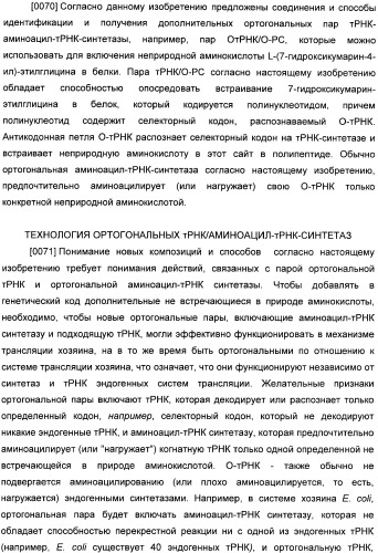 Генетически кодируемые флюоресцентные кумариновые аминокислоты (патент 2473690)