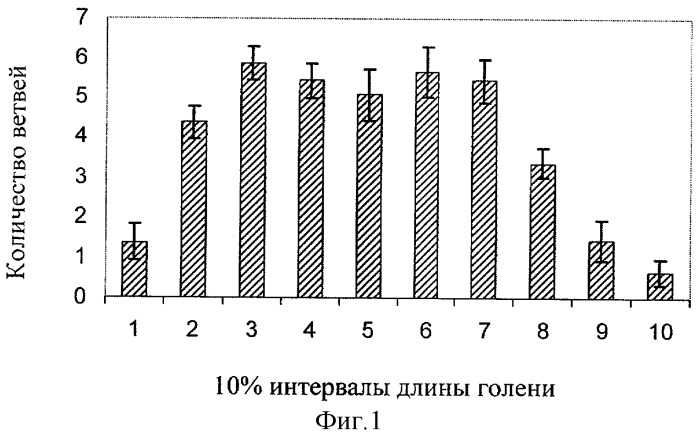 Способ замещения ограниченных остеомиелитических дефектов нижней трети большеберцовой кости мышечным лоскутом на проксимальной питающей ножке (патент 2303415)