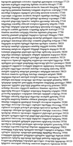 Модуляция экспрессии гентингтина (патент 2562861)