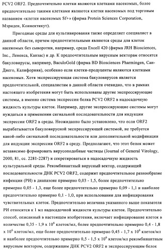 Поливалентные иммуногенные композиции pcv2 и способы получения таких композиций (патент 2488407)