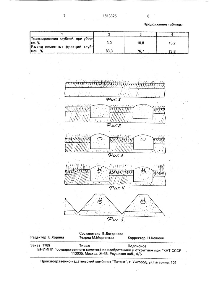 Способ выращивания картофеля (патент 1813325)