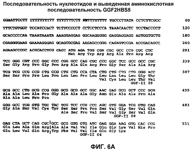 Композиции и способы для лечения во время не острых периодов после неврологического повреждения цнс (патент 2501564)
