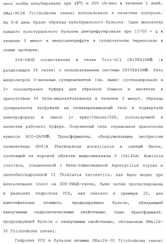 Клетка-хозяин trichoderma reesei для получения целлюлолитической белковой композиции, целлюлолитическая белковая композиция, способы ее получения и применения (патент 2494146)