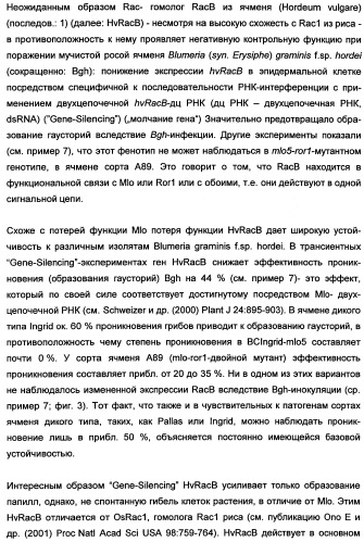 Новые последовательности нуклеиновых кислот и их применение в способах достижения устойчивости к патогенам в растениях (патент 2346985)