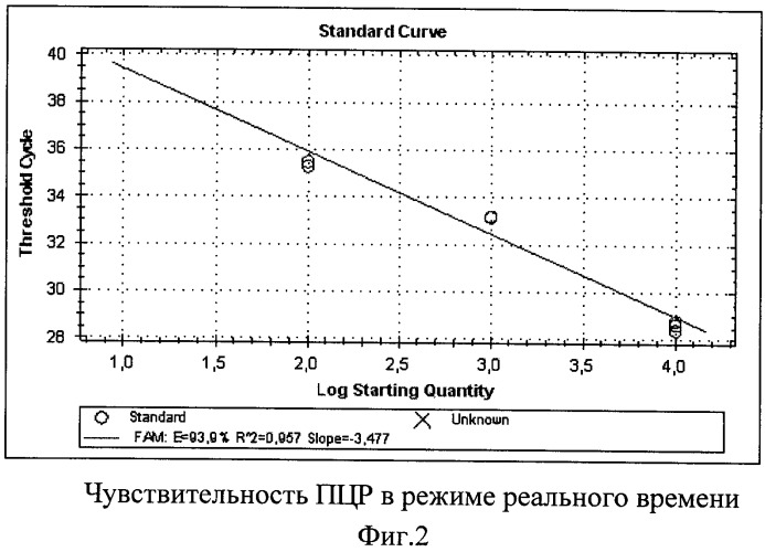 Синтетические олигонуклеотидные праймеры и способ выявления днк вируса инфекционной анемии цыплят с помощью синтетических олигонуклеотидных праймеров в полимеразной цепной реакции в режиме реального времени (патент 2481403)