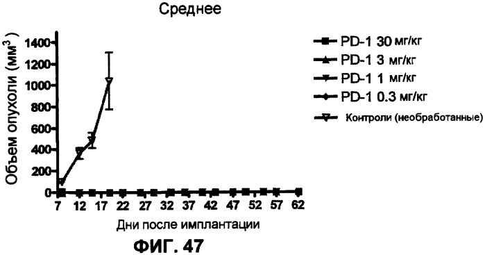 Моноклональные антитела человека к белку программируемой смерти 1 (pd-1) и способы лечения рака с использованием анти-pd-1-антител самостоятельно или в комбинации с другими иммунотерапевтическими средствами (патент 2406760)