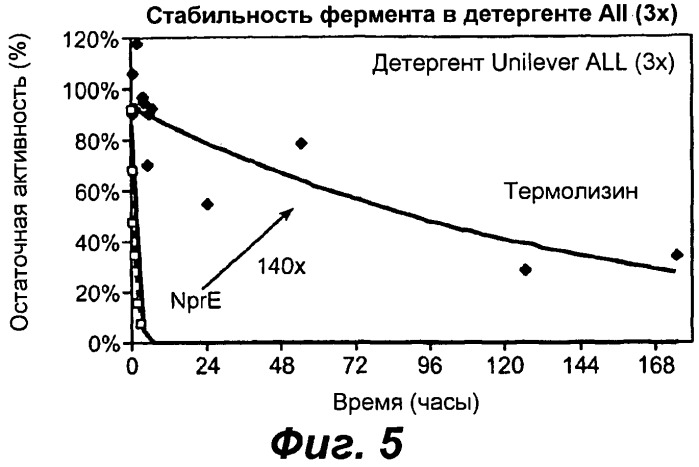 Продуцирование термолизина и его вариантов и его использование в жидких детергентах (патент 2536255)