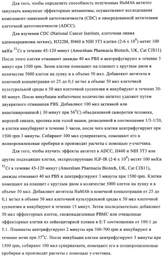 Антитела к рецептору инсулиноподобного фактора роста i и их применение (патент 2363706)