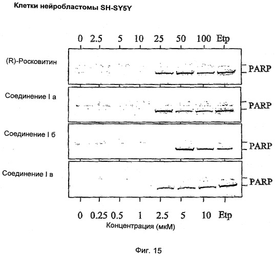 Перхаридины в качестве ингибиторов cdk (патент 2498984)