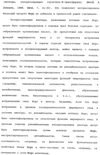 Поликлональное антитело против nogo, фармацевтическая композиция и применение антитела для изготовления лекарственного средства (патент 2432364)