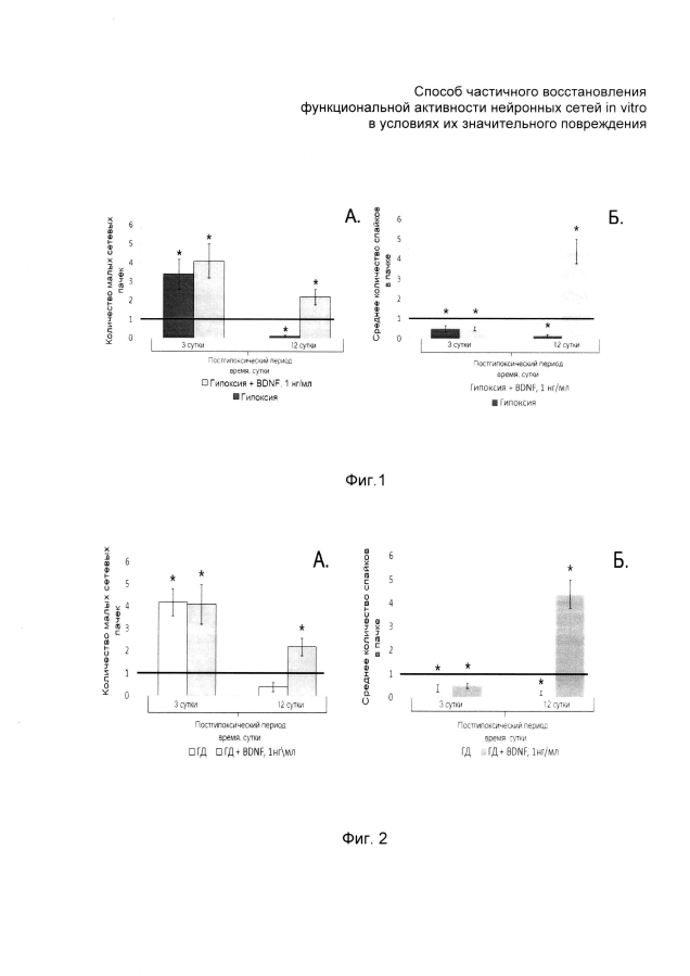 Способ частичного восстановления функциональной активности нейронных сетей in vitro в условиях их значительного повреждения (патент 2594065)