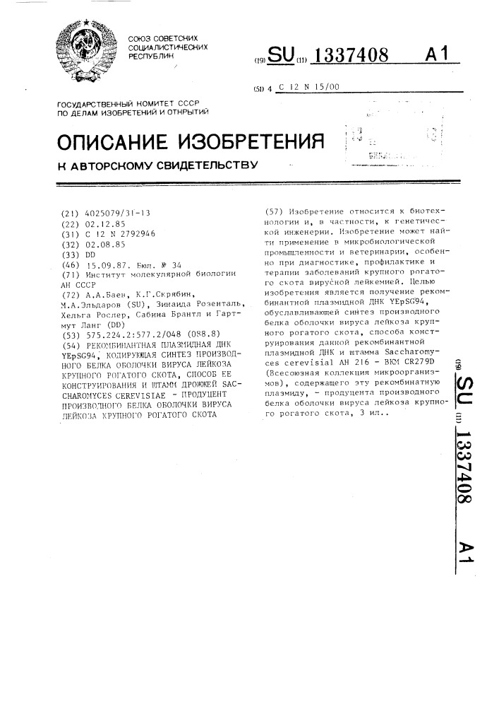 Рекомбинантная плазмидная днк уе psg94,кодирующая синтез производного белка оболочки вируса лейкоза крупного рогатого скота,способ ее конструирования и штамм дрожжей sасснаrомuсеs cererrial-продуцент производного белка оболочки вируса лейкоза крупного рогатого скота (патент 1337408)