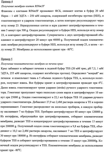 Пептиды, действующие как агонисты рецептора glp-1 и как антагонисты глюкагонового рецептора, и фармакологические способы их применения (патент 2334761)