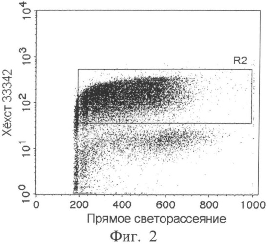 Способ оценки радиочувствительности рака верхних дыхательных путей (патент 2505817)