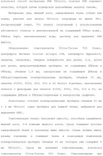 Композиции и способы лечения расстройств, ассоциированных с избыточной массой животных (патент 2492698)