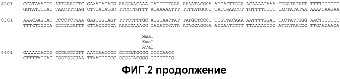 Получение функционализированной линейной днк-кассеты и опосредованная квантовыми точками/наночастицами доставка в растения (патент 2574785)