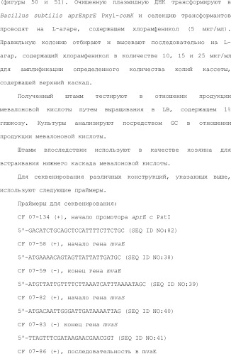 Полимеры изопрена из возобновляемых источников (патент 2505605)