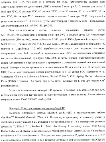 Способ получения l-аминокислоты с использованием бактерии, принадлежащей к роду escherichia (патент 2395579)