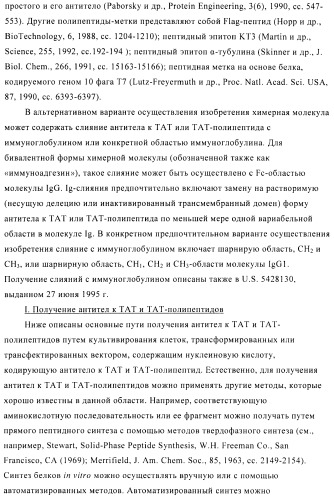 Композиции и способы диагностики и лечения опухоли (патент 2423382)