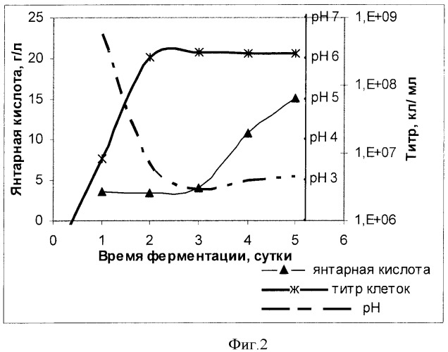 Способ получения янтарной кислоты с использованием дрожжей, принадлежащих к роду yarrowia (патент 2422526)