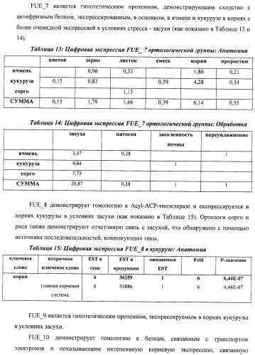 Изолированные полипептиды, кодирующие их полинуклеотиды, экспрессирующие их трансгенные растения и способы их использования (патент 2487166)