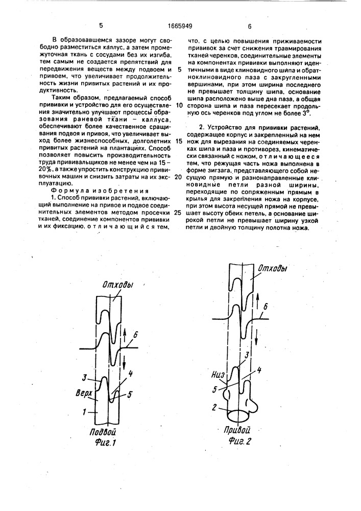 Способ прививки растений и устройство для его осуществления (патент 1665949)