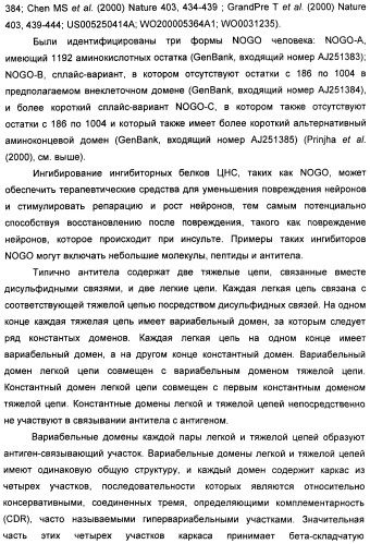 Nogo-a-нейтрализующие иммуноглобулины для лечения неврологических заболеваний (патент 2362780)