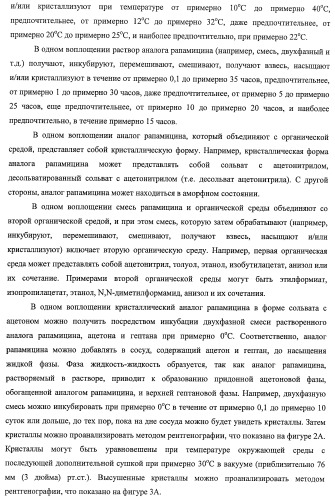 Кристаллические формы аналогов рапамицина (патент 2482119)