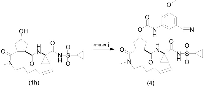 Макроциклические фенилкарбаматы, ингибирующие hcv (патент 2490261)