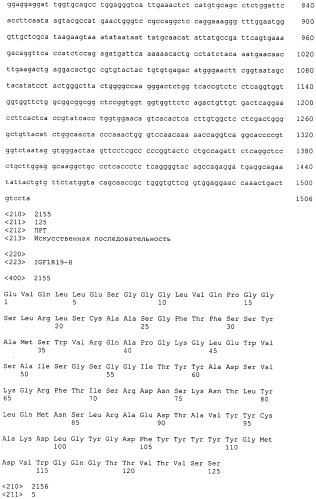 Pscaxcd3, cd19xcd3, c-metxcd3, эндосиалинxcd3, epcamxcd3, igf-1rxcd3 или fap-альфаxcd3 биспецифическое одноцепочечное антитело с межвидовой специфичностью (патент 2547600)