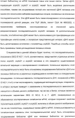 Выделенный полипептид, обладающий антивирусной активностью (варианты), кодирующий его полинуклеотид (варианты), экспрессирующий вектор, рекомбинантная клетка-хозяин, способ получения полипептида, антитело, специфичное к полипептиду, и фармацевтическая композиция, содержащая полипептид (патент 2321594)