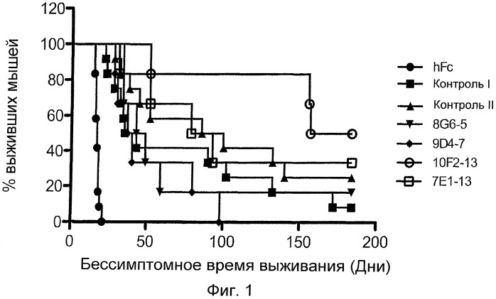 Антитела человека к cd20 человека и способ их использования (патент 2486205)